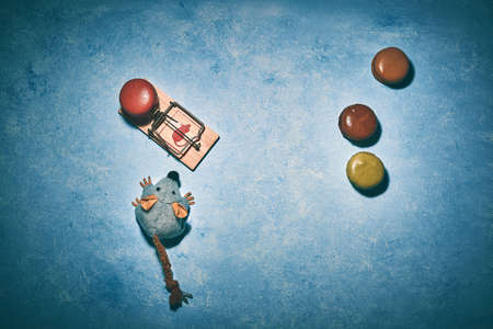 pictures of a sweet french dessertの写真素材