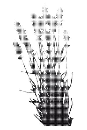 Bunch Of Lavender - Halftoneのイラスト素材