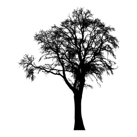 Silhouette of tree with bare branches. Winter scenery tree.のイラスト素材
