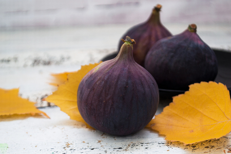 Three figs on a white blurred background, among the yellow leaves.の写真素材