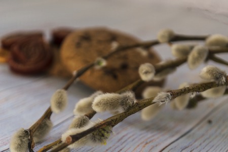 Willow branches on a wooden light background. Concept Easter and Palm Sunday. Oatmeal cookies and...