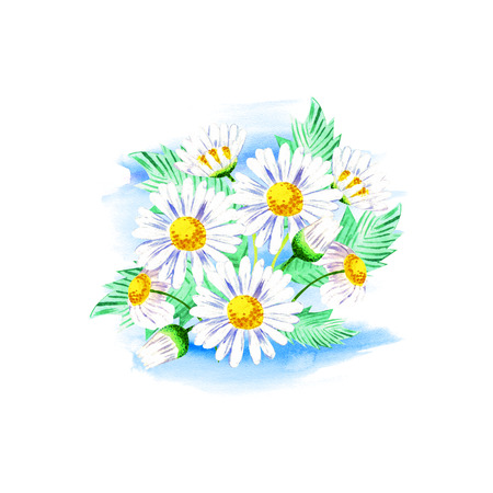 A bouquet of white daisies with a yellow heart. Postcard. Spring bouquet. Watercolor illustration on white background.の写真素材