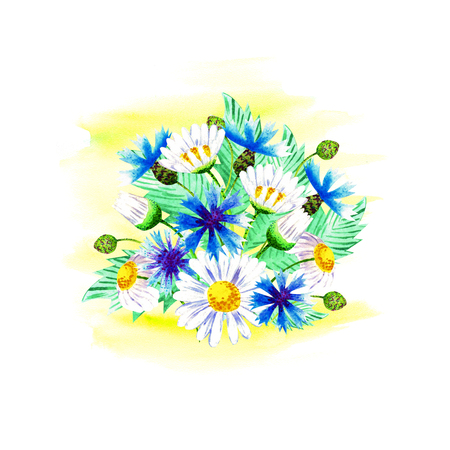 A bouquet of white daisies with a yellow heart and blue cornflowers, wild flowers. Postcard. Spring bouquet. Watercolor illustration on white background.の写真素材