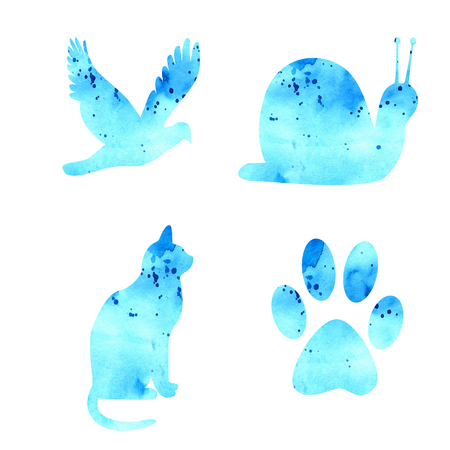 Watercolor set isolated on white background. Background watercolor drawn by hand. Bird, snail, cat, paw print blue.の写真素材