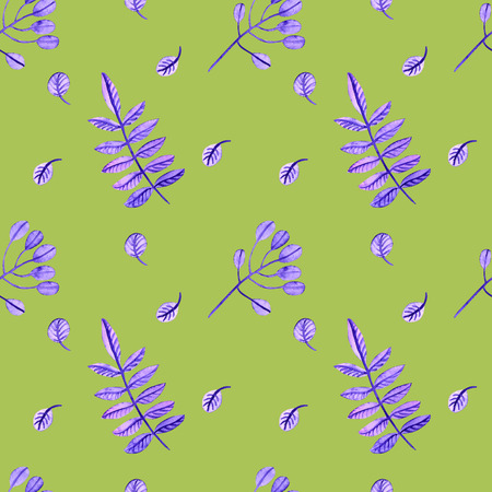 Watercolor pattern with watercolor feathers and flowers on a white background. Well suited for printing on fabrics. Colors lilac and blue.の写真素材