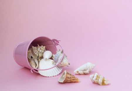 Sea shells of various sizes are scattered from a pink bucket on a pink background, empty space to the right. Maritime themesの写真素材