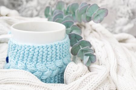 White mug with tea in a knitted blue frame and wrapped in a white knitted plaid. In the background, sprigs of eucalyptus and cotton. Breakfast in bed. Cozy. Spring, winter.の写真素材