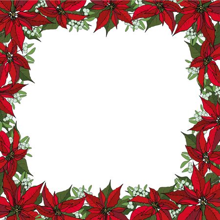 Christmas frame from poinsettia and nuts and mistletoe, on a white background. Christmas decoration on white. Vector . Christmas concept.のイラスト素材