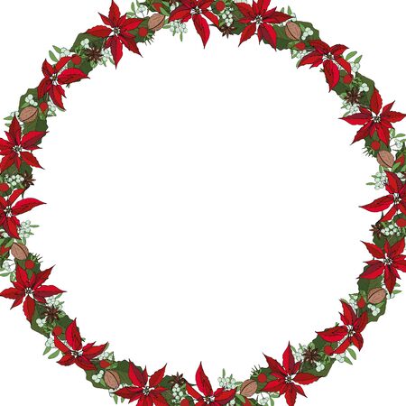 Christmas wreath of poinsettia and nuts and mistletoe, on a white background. Christmas decoration on white. Vector. Christmas concept.のイラスト素材
