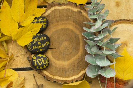 Autumn leaves lie on the cuts of a tree on a craft background. Autumn natural background. Green branches of eucalyptus lie on the cuts of a tree. Black painted stones lie in a group. Near the brush. On the stones there are inscriptions in Russian Live boldly, Prosperous, Create boldly. The concept of autumn, gardening, plant care. Flat lay on top.の写真素材
