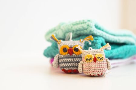 Two small multi-colored knitted handmade owl toys sits against a white background. Amigurumi. Blurred color background. There is a place for textの写真素材