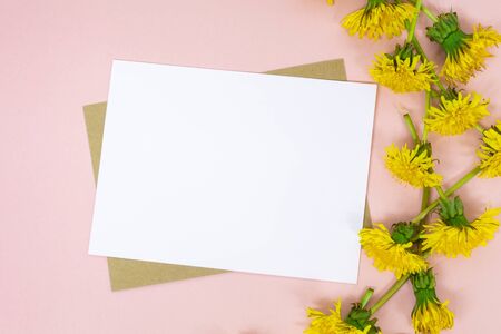 White sheet for text or postcard lies on a pink background, top view. Bright yellow spring dandelions are woven into a wreath and frame beautifully. Copy spaceの写真素材
