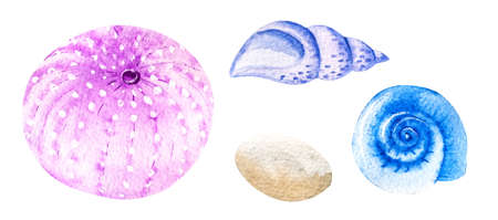 Three watercolor seashells and pebbles hand drawn isolated on white background. Marine clipart.