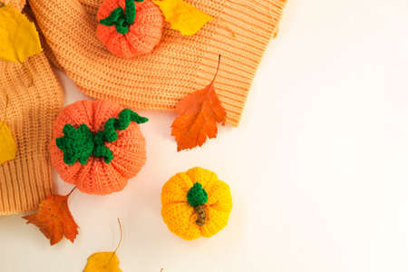 Autumn composition of three pumpkins, knitted decor of pumpkins and a sweater, and autumn leaves of orange and yellow trees on a white background, yarn and needlework, soft light. Copy of the space.の写真素材