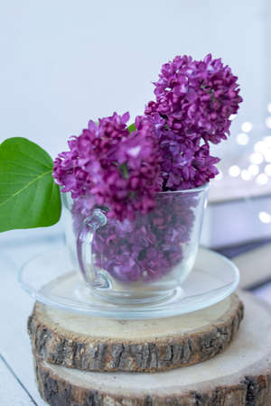 Transparent cup with flowers. Beautiful lilac fills the glass. The spring bouquet is worth no wooden cuts. Macro image of spring lilac purple flowers. Book in the background and lights. Blurredの写真素材