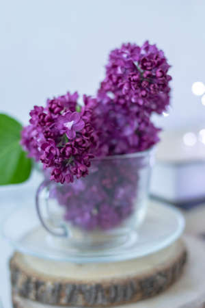 Transparent cup with flowers. Beautiful lilac fills the glass. The spring bouquet is worth no wooden cuts. Macro image of spring lilac purple flowers. Book in the background and lights. Blurredの写真素材