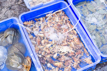 Live sea crabs and marine life lie in a tray at an Asian fish market. Vietnamese market. Sea catch.