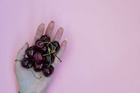 A woman holds in her hand a handful of sweet red cherries on a pink background. Copy space.の写真素材