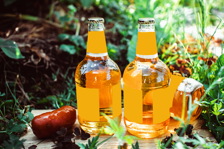 Three bottles of fresh beer in the grass with sausages in the sun.の写真素材