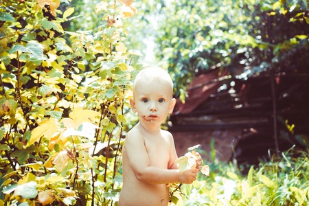 little boy outdoors naked smeared with chocolateの写真素材