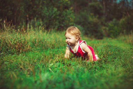 Little girl in a dress sitting on the grassの写真素材