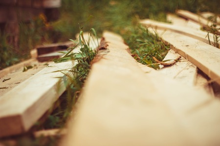 Wooden board. He lies on a stump. In grass.の写真素材