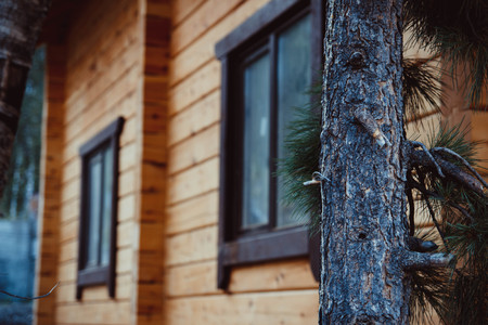 Wall background of the house made of timber, covered with protective impregnation.の写真素材