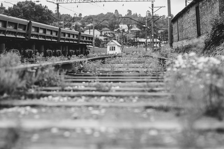 railroad overgrown with grass black and whiteの写真素材