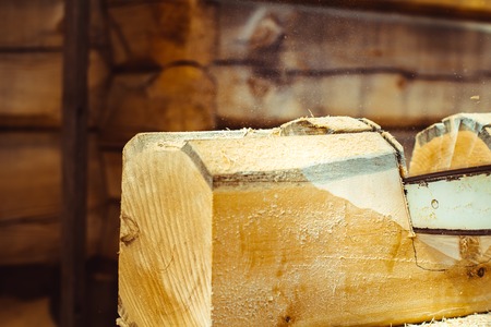 Man with a chainsaw cutting a tree for constructionの写真素材