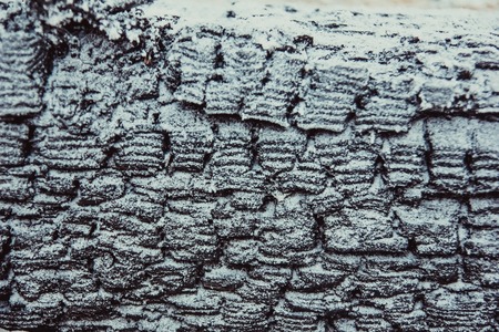texture of charred wood in the winter in the snowの写真素材