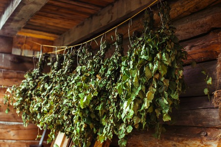 Birch brooms on a wooden wall in russain bath Hanging Bath brooms.の写真素材
