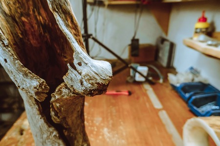 a crooked branch from a tree standing in the Studio joinerの写真素材