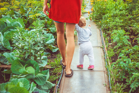 The child learns to walk in the park barefoot on the grassの写真素材