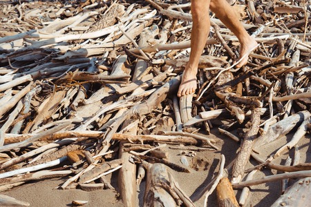 Branches and a lot of dirt under a wooden bridge in Romania.の写真素材