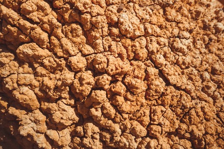 cracked red clay in the form of textureの写真素材