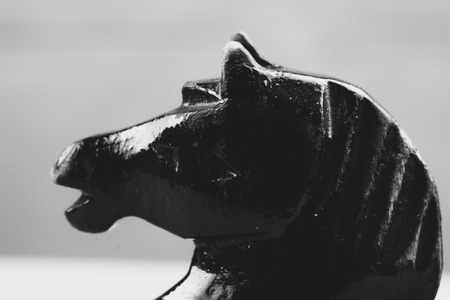 knight chess piece one standing in the backgroundの写真素材