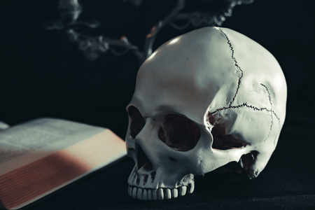 Candle lighting of Skull with candle and books on wooden desk decorate for Halloween Theme with copy space. Still Life image and selective focusの写真素材