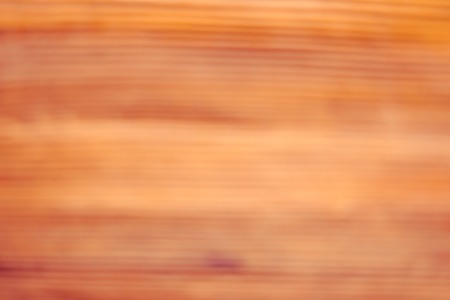 A fragment of a wooden panel hardwood. Oak.の写真素材