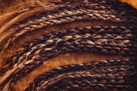 Fashion hairstyles braids braids : many small breeds tail creative hairstyles with thick braidsの写真素材