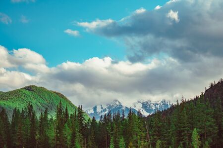 landscape of mountains on the background of the forest