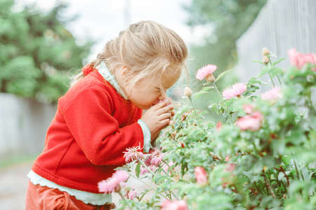 a child plays among the grassの写真素材