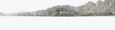 Beautiful Winter forest scene with deep virgin snow and plenty of space for your text and copy space, large panoramaの写真素材