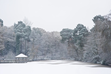 Beautiful frozen winter lake ccovered in snow with trees around perimeterの写真素材