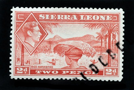 SIERRA LEONE - CIRCA 1940 - Postage stamp showing native of country rice harvesting and inset of King George 6thのeditorial素材
