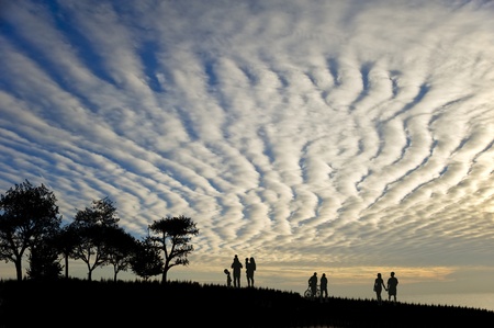 Silhouettes of various people in field with trees with stunning sunset backgroundの写真素材