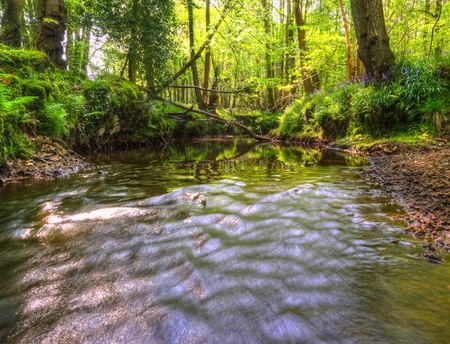 Beautiful image from very low point of view along stream flowing upstream with deep vibrant lush foliage on either bank and sunlight brightening up backgroundの写真素材