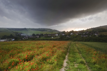 Vivid color red poopy field landscape under stormy skyの写真素材