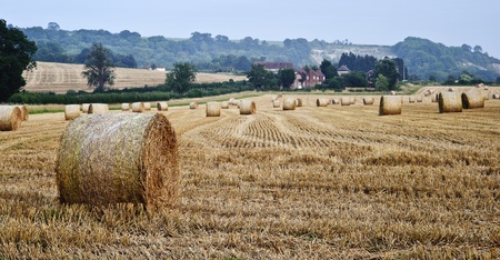 Lovely sunset golden hour landscape of hay bales in field in English countryside