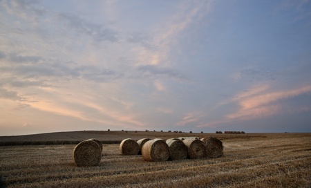 Lovely sunset golden hour landscape of hay bales in field in English countryside