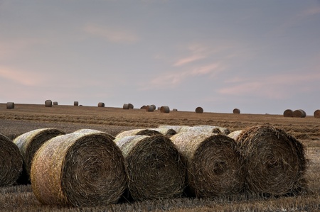 Lovely sunset golden hour landscape of hay bales in field in English countrysideの写真素材
